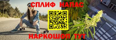 ГАЛЛЮЦИНОГЕННЫЕ ГРИБЫ Славгород