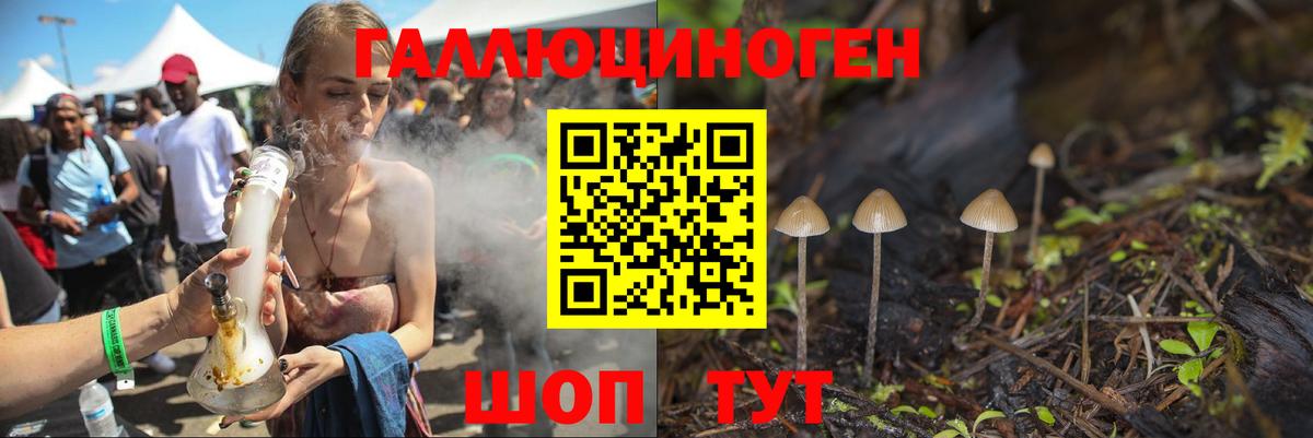 Галлюциногенные грибы Psilocybe Саянск